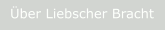 Über Liebscher Bracht